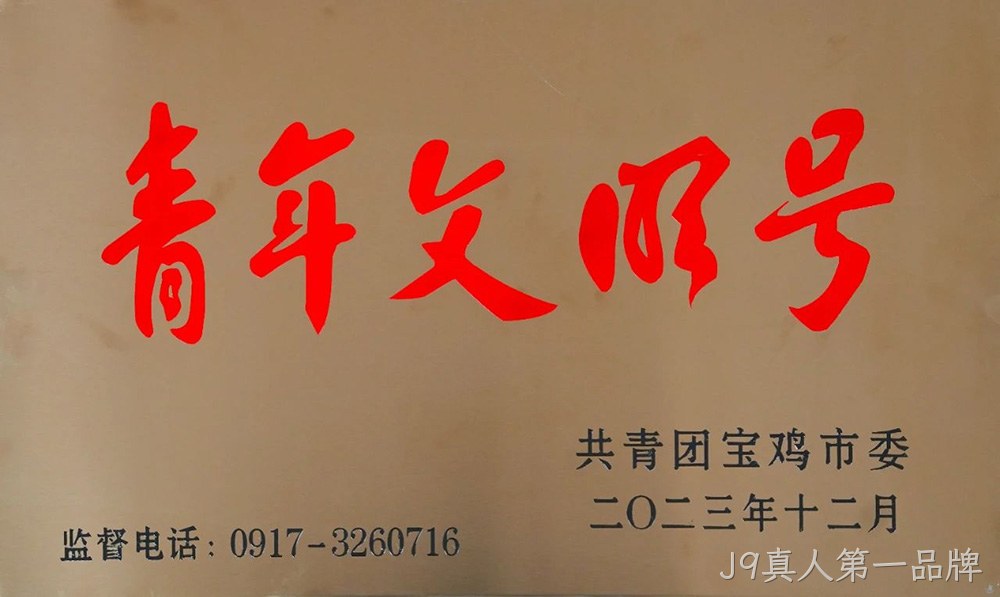 图片3