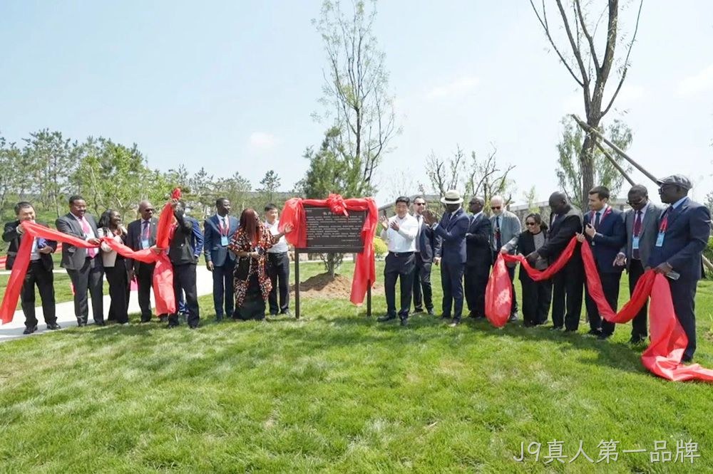 图片51