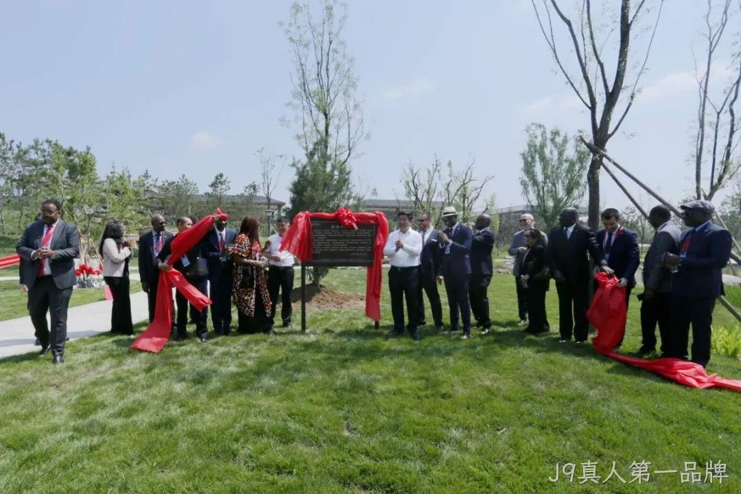 图片5